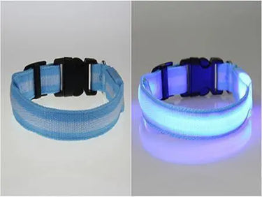 LED Pet Safety Collar-Your Soul Place